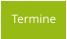 Termine